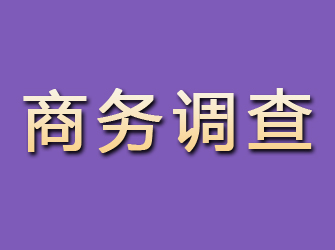 邯山商务调查